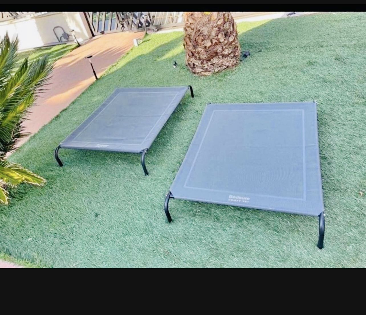 Elevated Dog Beds LargeSize Only !!new In Box /sylmar Pick Up/Back On Stock!!!
