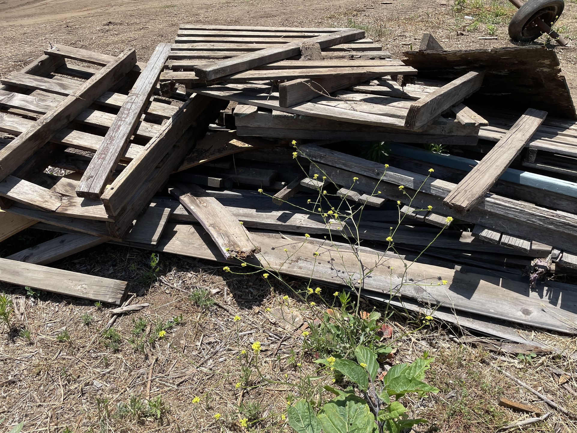 Free pallets