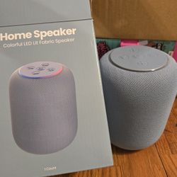 Home Speaker