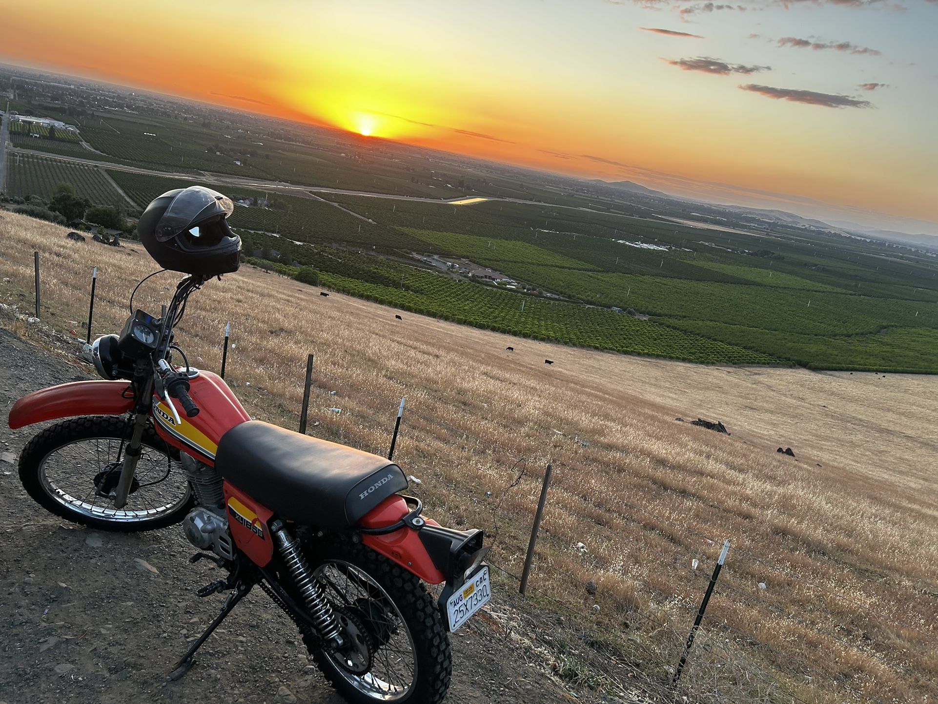 1979 Honda 185XL