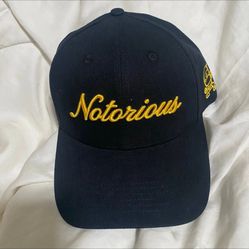 VeeFriends Black NOTORIOUS NINJA Snapback Baseball Cap   ONE SIZE FITS ALL  VeeFriends is a motivational collection of characters created by Gary Vayn