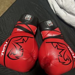 Rival Boxing Gloves