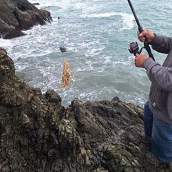 WEIGHTED CRAB SNARES)-TRAMPAS PARA CANGREJOS!