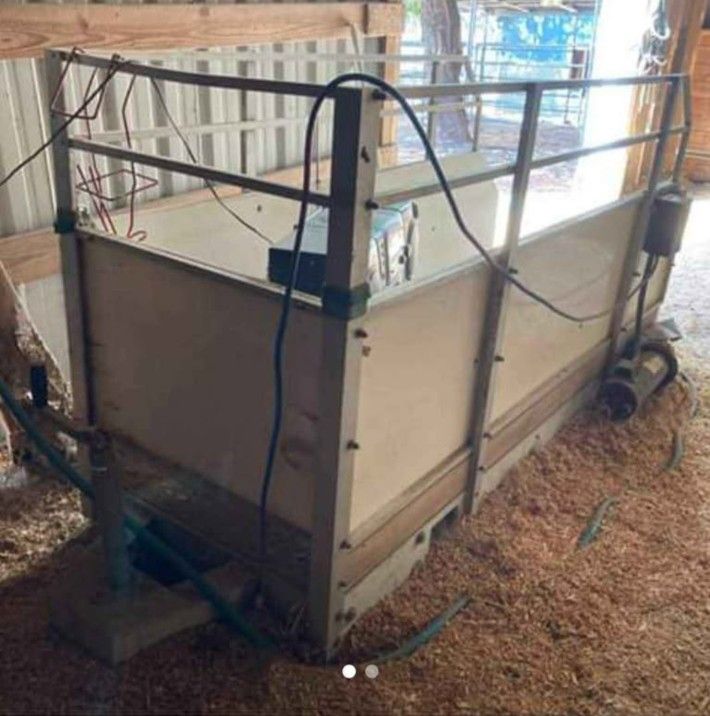 Working Pony treadmill