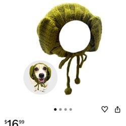 Gorrito Para Perrito 