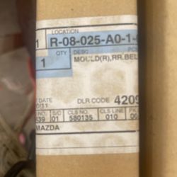 Mazda Protege 5 Window Moldings