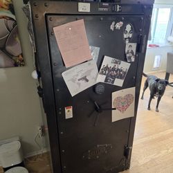 Kodiak Safe
