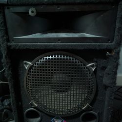 NADY PS 112 300W 8OHM SPEAKERS