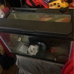 Fish Tank 10 Gallon 