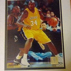Sports memorabilia special edition