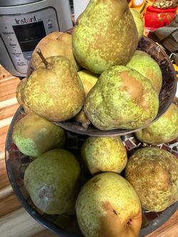 Fresh homegrown pear