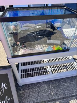 5 Gal Fish tank and accessories