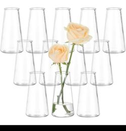 *NEW* Glass Vase Set Of 12 