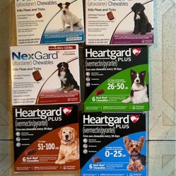 Dog Flea And Tick Preventatives