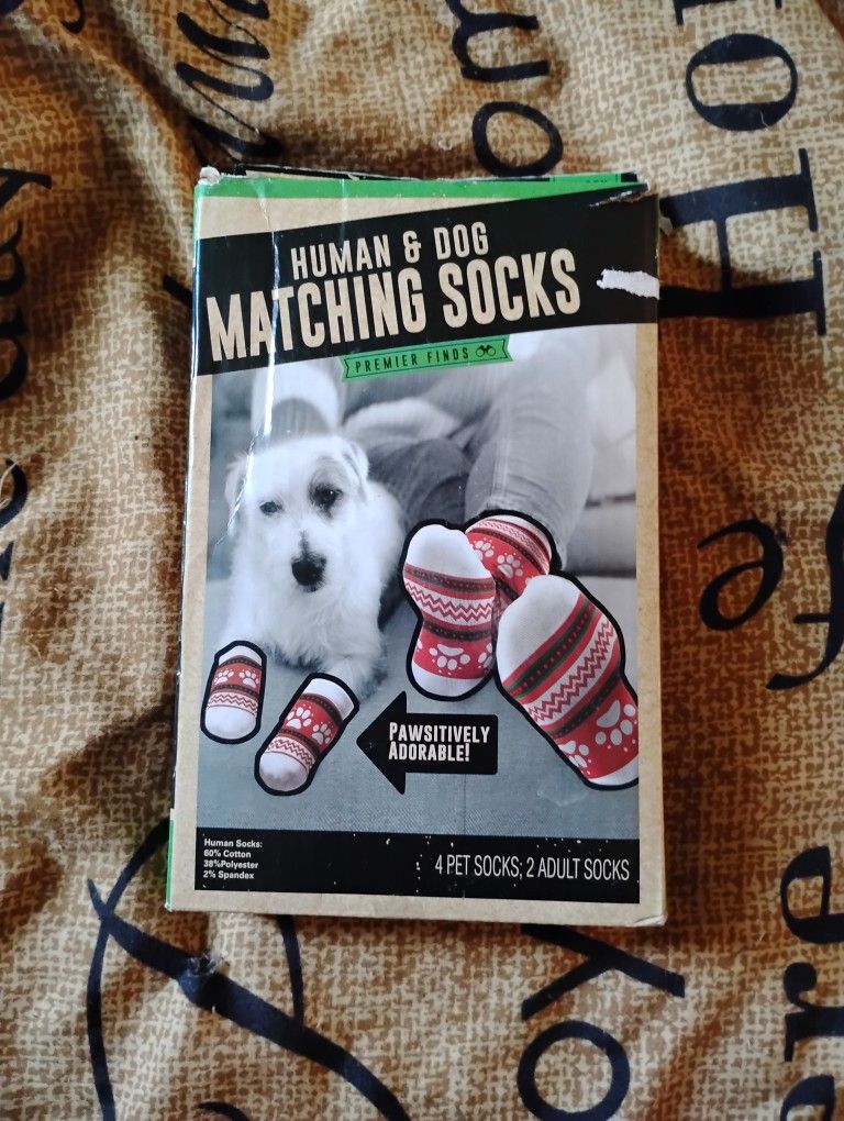 Matching Socks For You And Your Dog