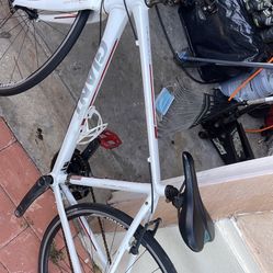 Giant Road Bike 