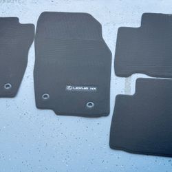 2019 Lexus NXH Carpet Floor Mats Set 4pc (Gently Used In Pristine Condition)