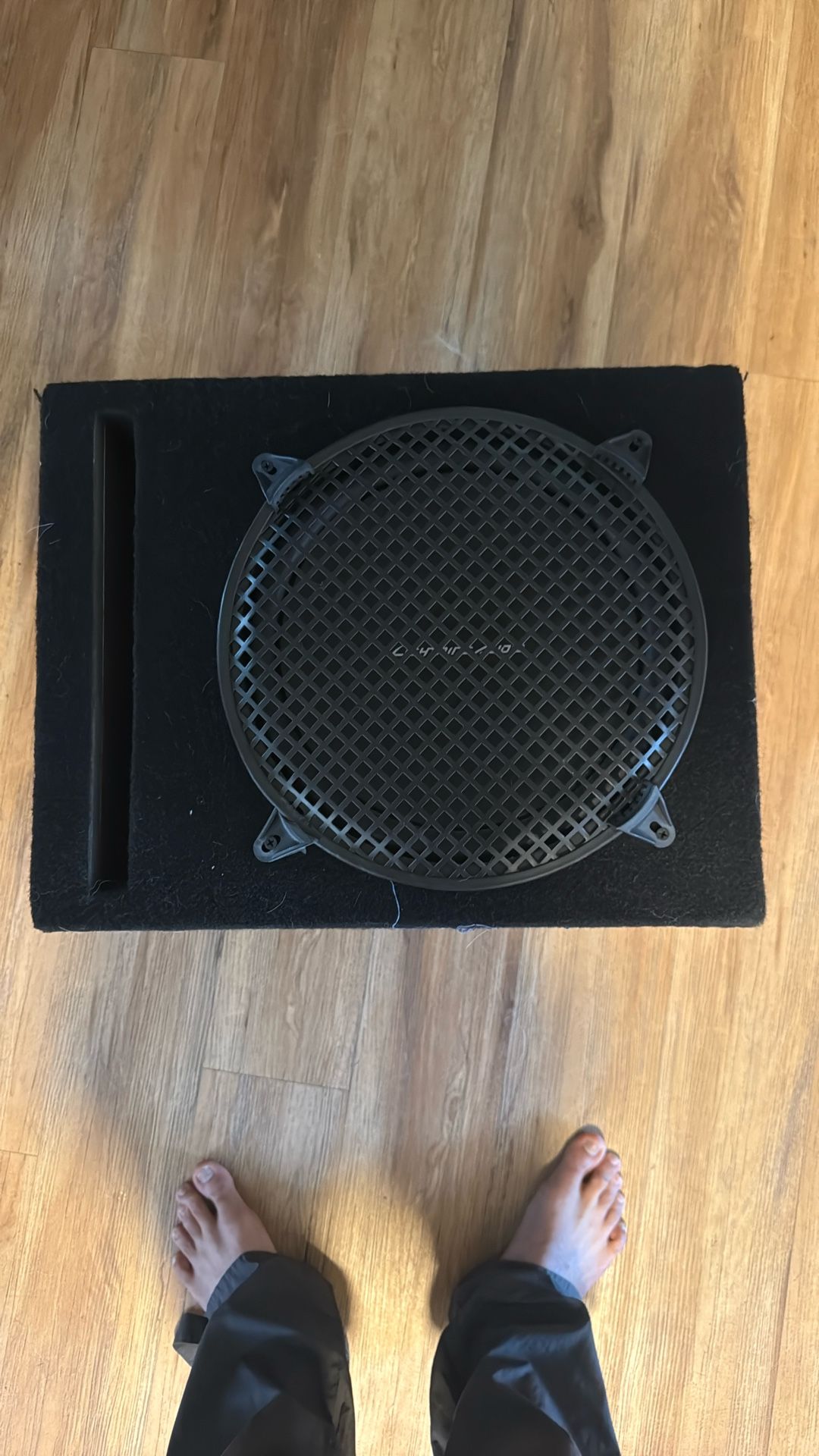 12 Inch Lighting Audio Sub With Box
