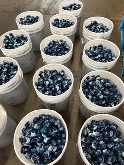 5 Gallon Laundry Detergent Bucket
