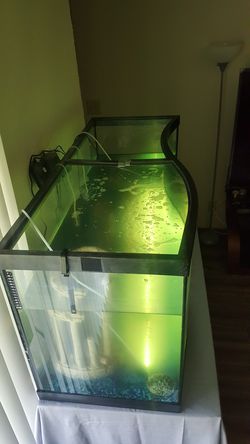 Fish tank