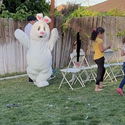 Bunny character 🐰🐣