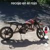 Carlos Domingo Chicas