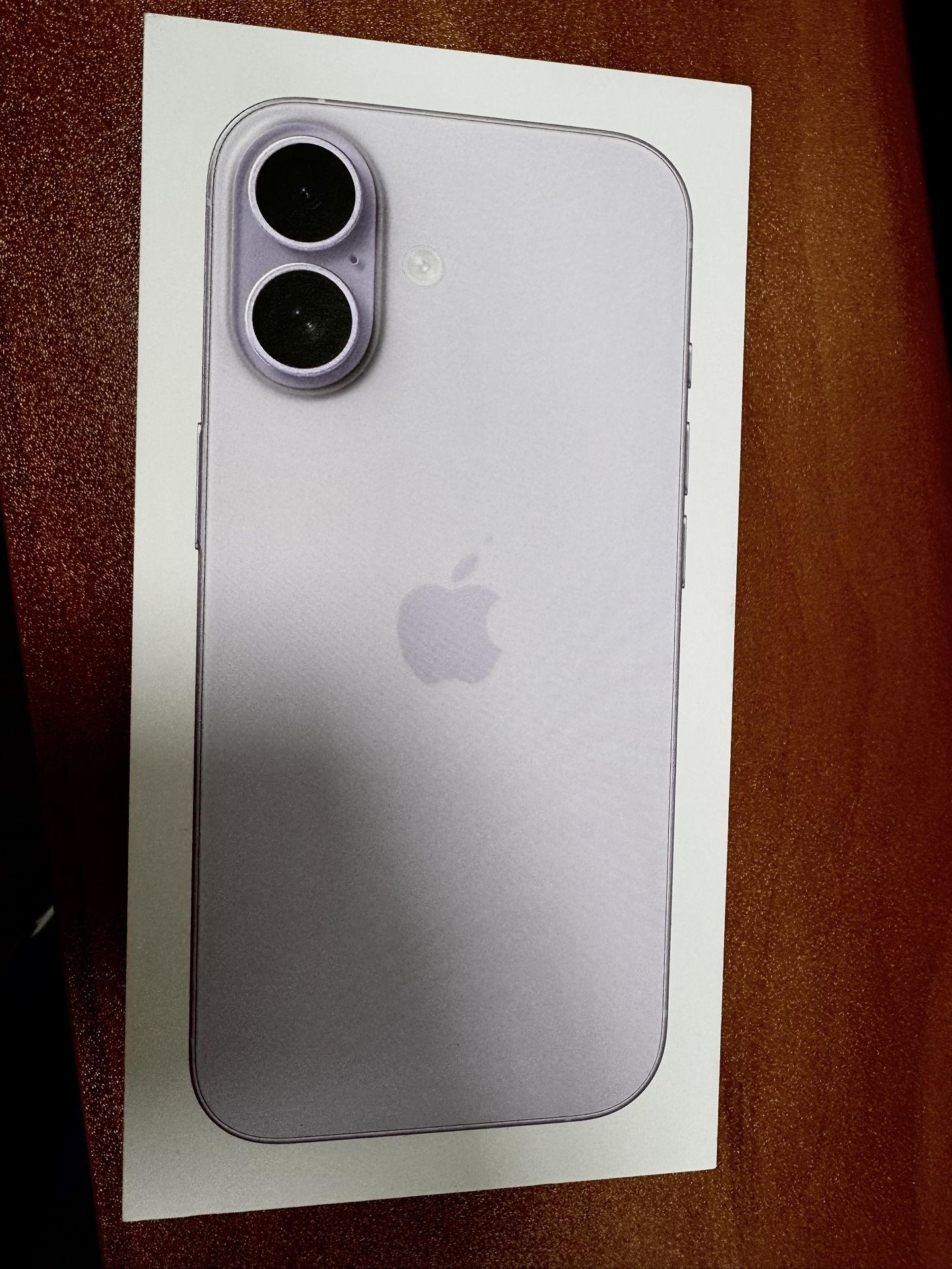 iPhone 17