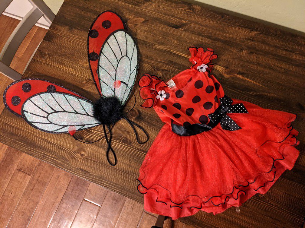 Costume Lady Bug