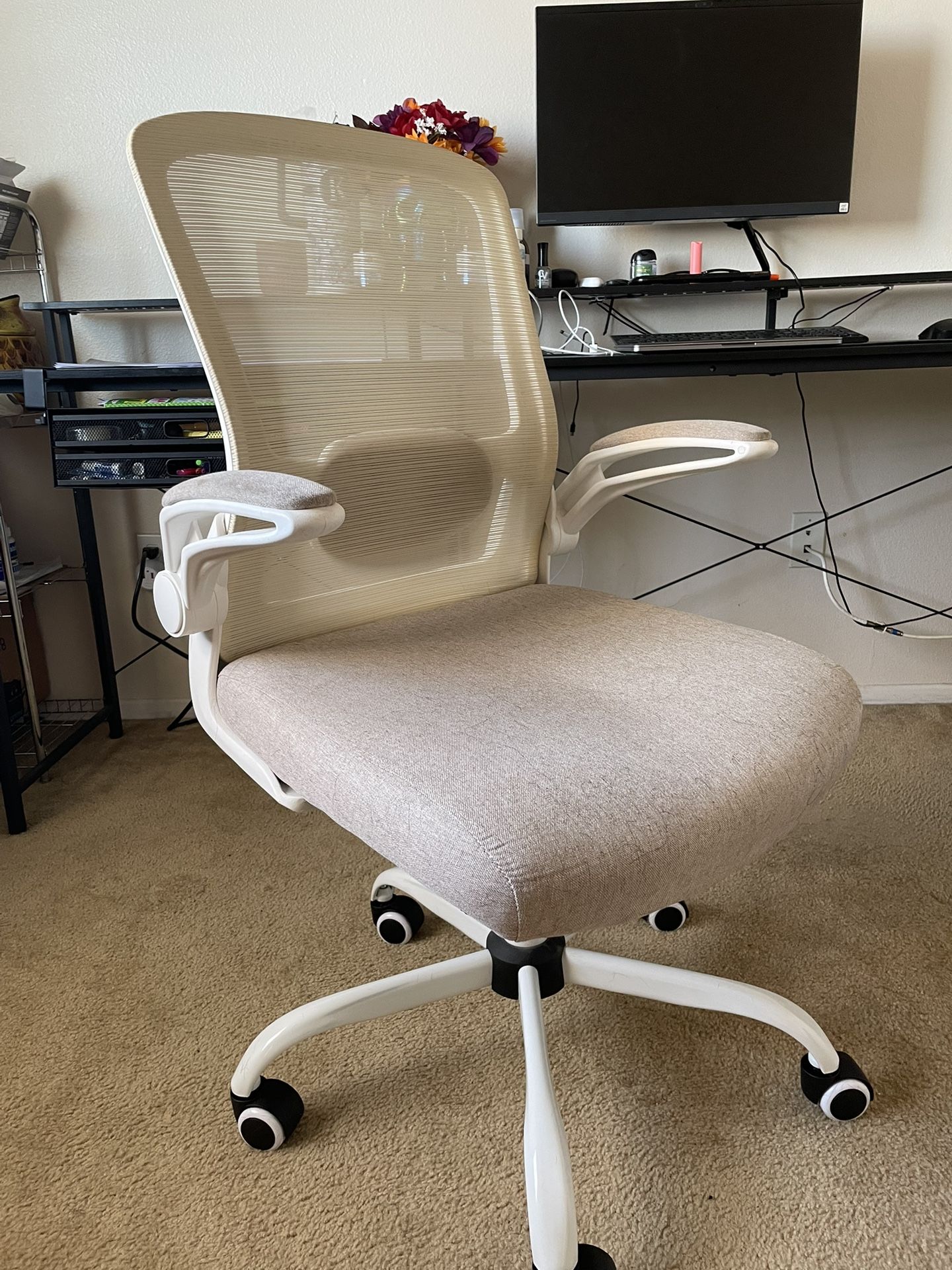 Ergonomic Office Chair