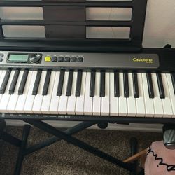 Casio Keyboard And Stand 