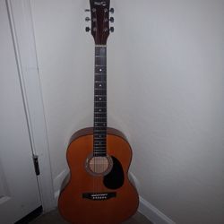 Acoustic Guitar