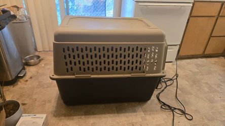 Large Kennel