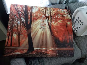 Canvas