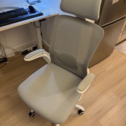 Ergonomic Mesh Office Chair with Headrest - Gray