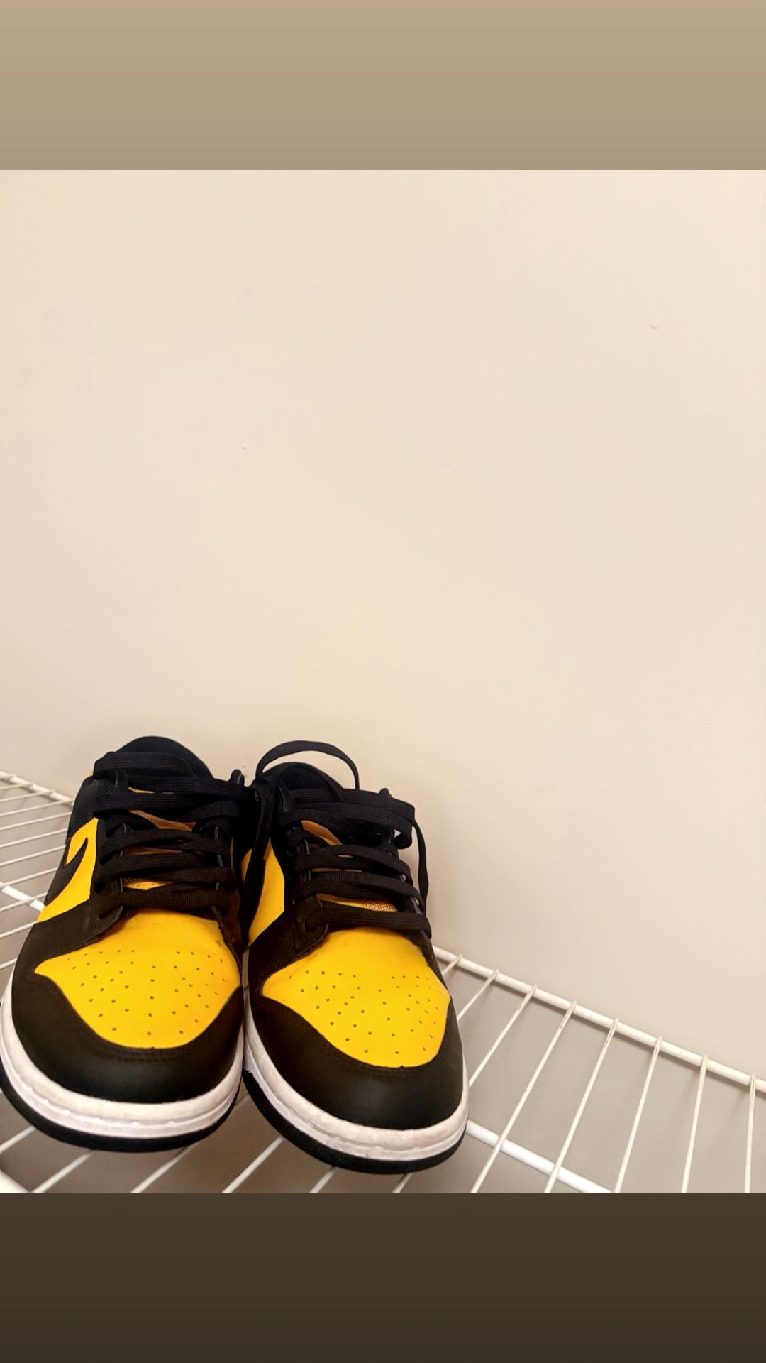 Goldenrod Dunks