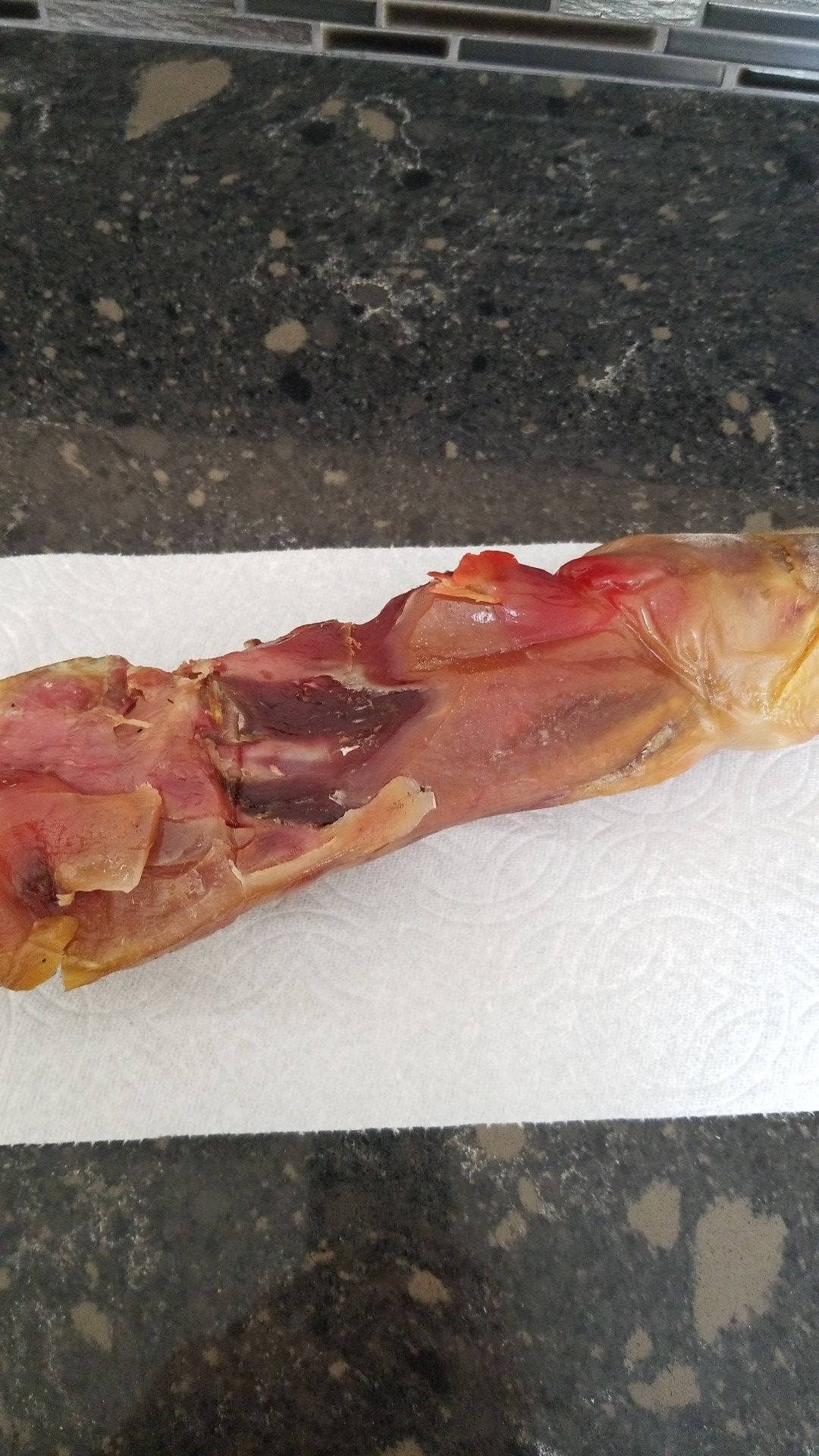 Serrano ham bones for large dogs