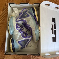 lebron james XIX (GS)