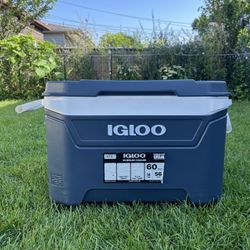 Igloo Cooler