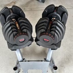 Bowflex Adjustable 1090 Dumbbells w/ Stand