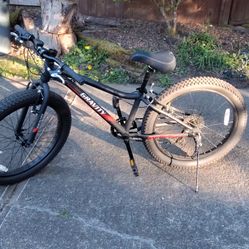 Gravity Monster 3 Bike ( For Tweens To Teens)