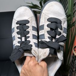 Adidas Campus Shoe 