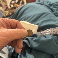 500 Wheat Back Cents Pennies $75 1(contact info removed)