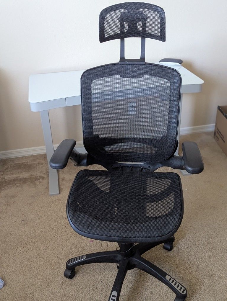 GABRYLLY Ergonomic Office Chair,