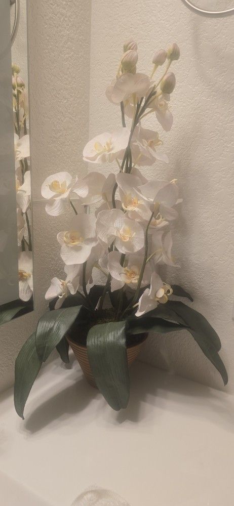White Orchid - Artificial