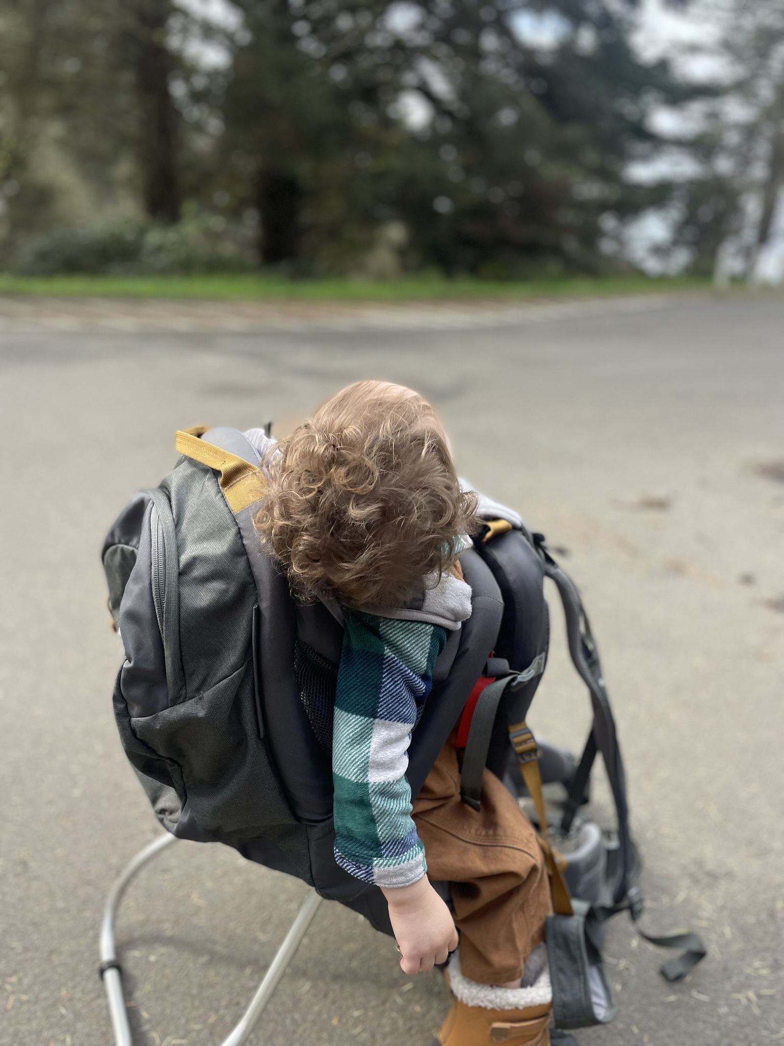 Kelty Hiking Carrier