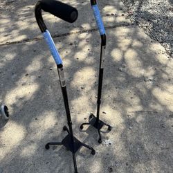 Canes And Walkers 