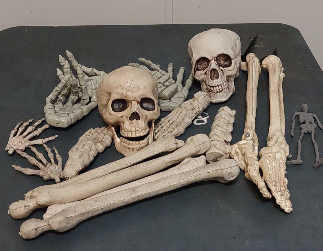 Various Bones