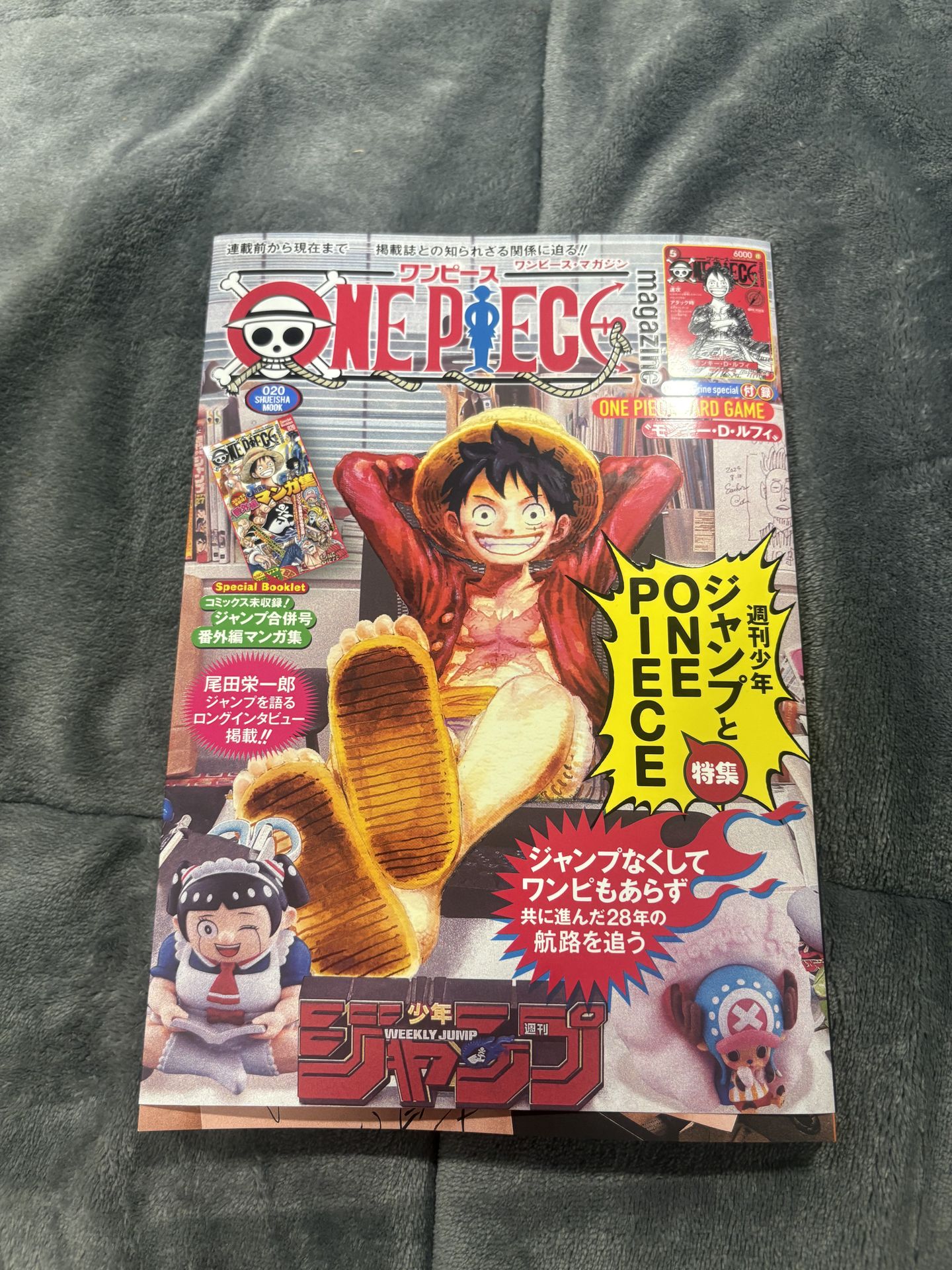 One Piece Vol 20 with Promo Card