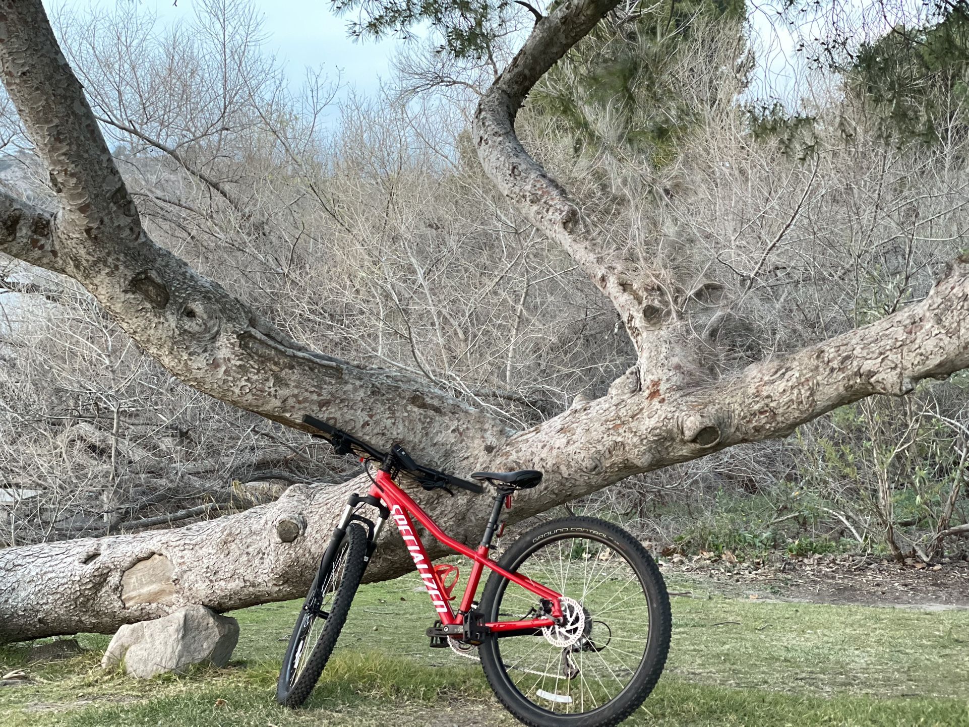 Specialized Rockhopper 27.5 Size XS