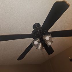Ceiling fan
